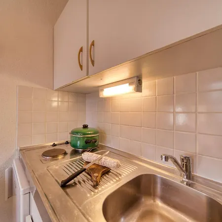 Vostok Zodiaque-80 By Interhome Apartment *
